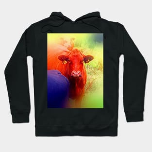 Cows Hoodie